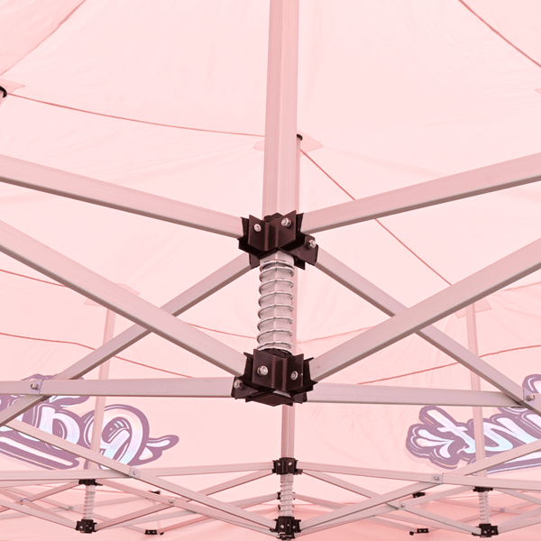20x20 Large Custom Canopy - with Free Wheeled Case